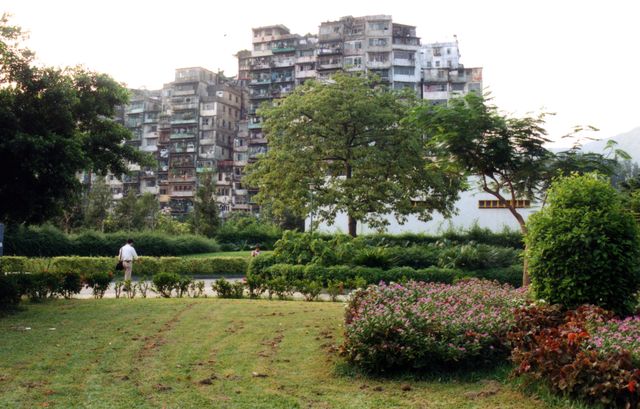Colour photo of weathered apartment blocks behind trees and a lawn, 1991.